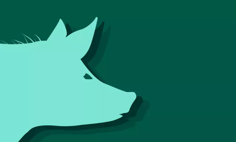 Китайски зодиак - Прасе