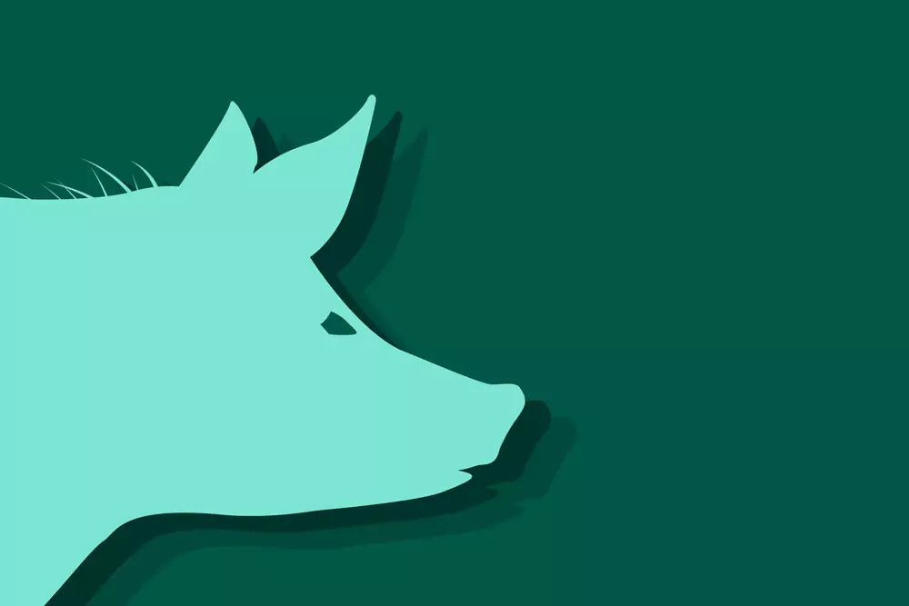 Китайски зодиак - Прасе