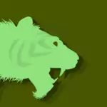 Китайски зодиак – Тигър