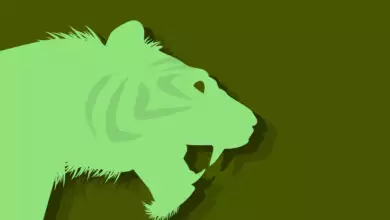 Китайски зодиак - Тигър