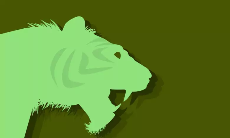 Китайски зодиак - Тигър