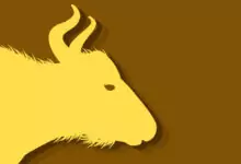 Китайски зодиак - Вол