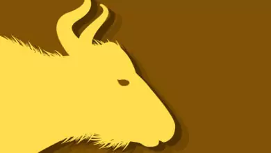 Китайски зодиак - Вол