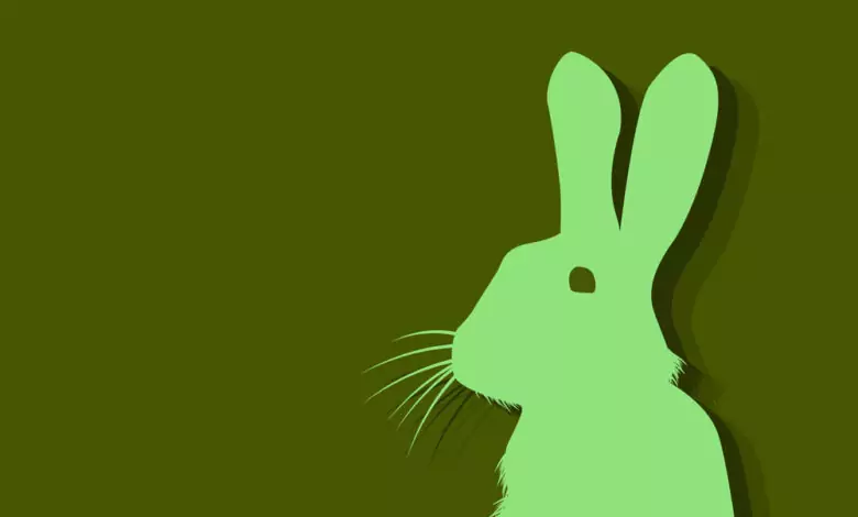 Китайски зодиак - Заек