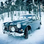 Как да се погрижим за колата си през зимата