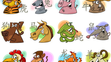 Любовна съвместимост според китайския зодиак