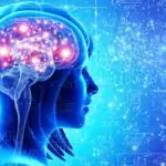 Човешкото тяло срещу болестите