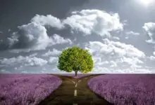 кармичен път