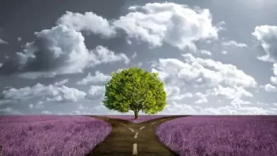 кармичен път