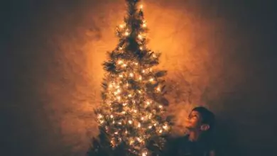 коледа и елха