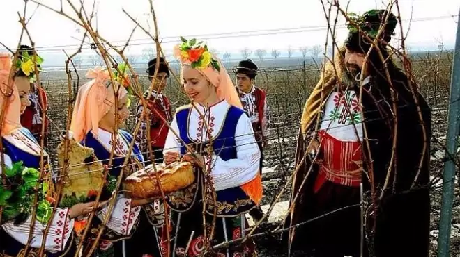 Трапезата на Трифоновден - лозя Трапезата на Трифоновден - лозя