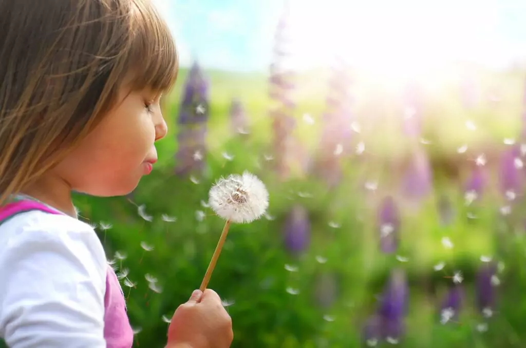 сбъдване на желания сбъдване на желания