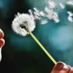 Силата на мисълта материализира желанията