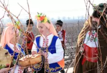 Традиции и обичаи за Трифоновден