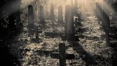 Митарствата на неспокойните души