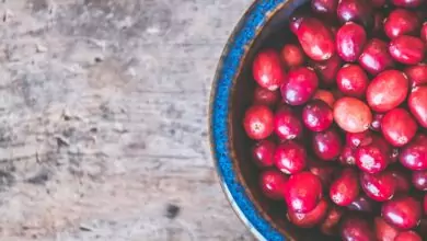 червената боровинка - цистит