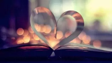 Любовен хороскоп ❤️ за Утре