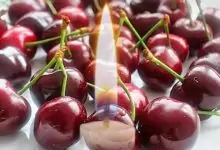 Черешова задушница