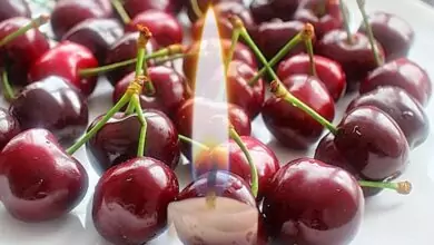 Черешова задушница