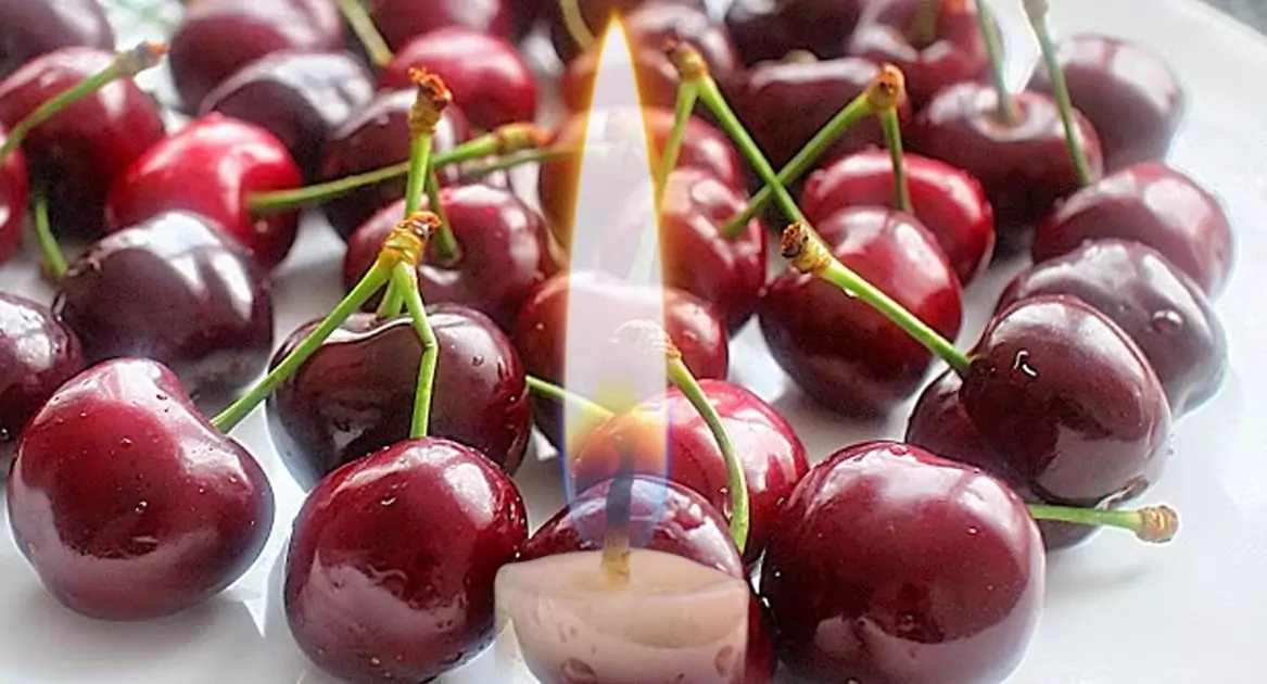 Черешова задушница