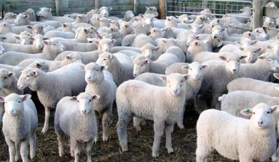 Гергьовденски вицове