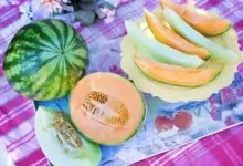 Как да изберем диня и пъпеш