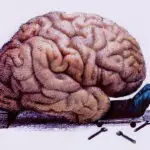 Навици които увреждат мозъка
