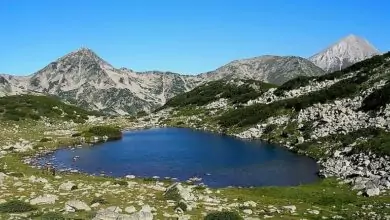 извор в Добърско