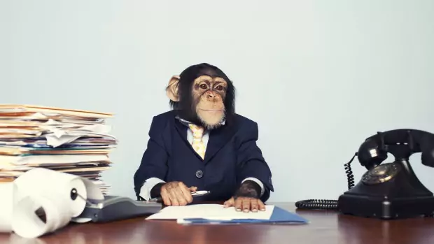 Хитростта ни помага в сложни ситуации - маймуна Хитростта ни помага в сложни ситуации - маймуна