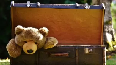 празен куфар