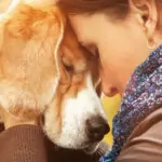 Как да изберем идеалната порода куче?