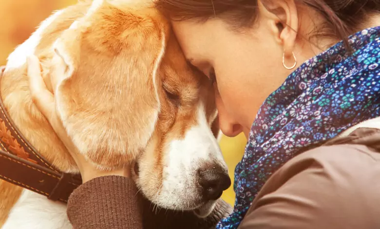 избор на куче