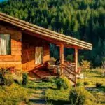 Как да унищожим гъбичките у дома