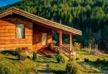 гъбички у дома