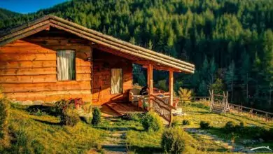 гъбички у дома