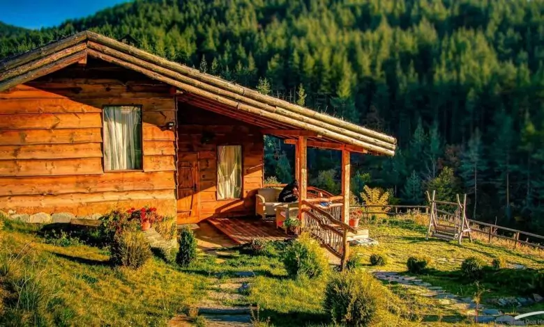 гъбички у дома