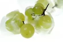 замразено пияно грозде