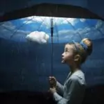 Принципите на мъдростта и разбирателството