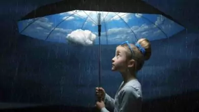 мъдрост и разбирателство