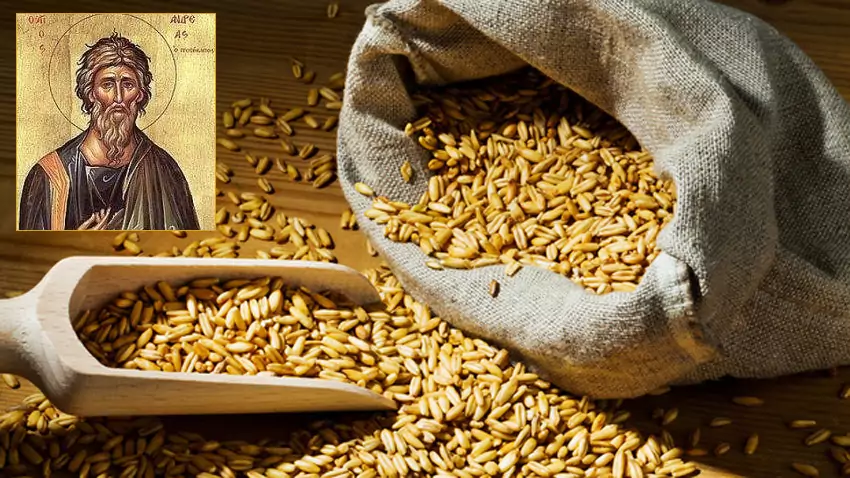 Трапезата на Андреевден Трапезата на Андреевден