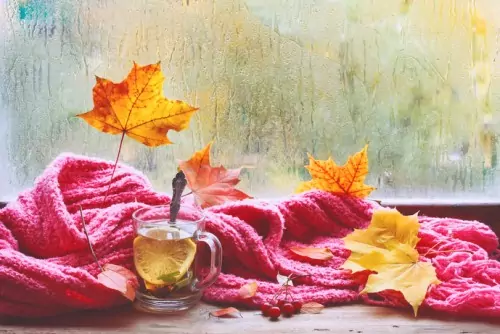 чаша билков чай в студеното време чаша билков чай в студеното време