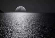 лунен календар