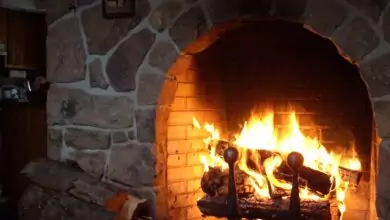 празничен бъдник