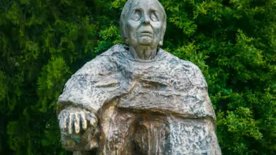 Ванга - полезни рецепти