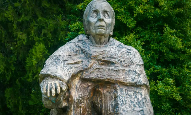 Ванга - полезни рецепти