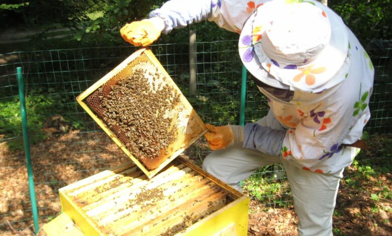 Пчеларите празнуват Свети Харалампий