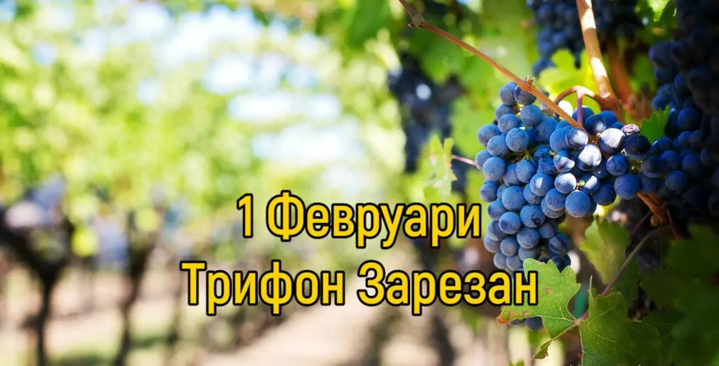 Трифон Зарезан – обичаи и трапеза