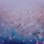 Силата на мисълта и как тя променя живота ни