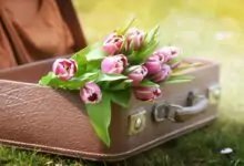 Именни дни през Април