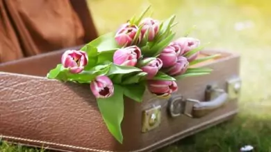 Именни дни през Април